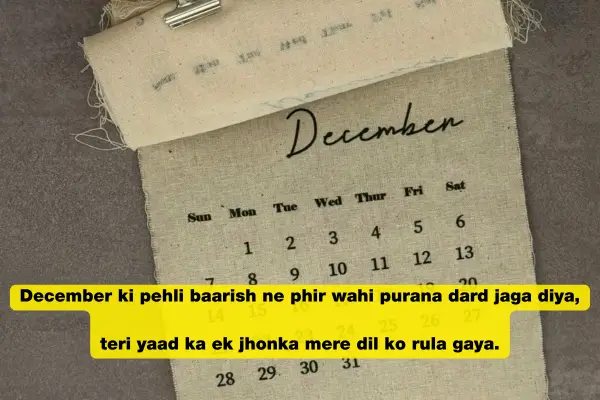 december-first-rain-sad-shayari