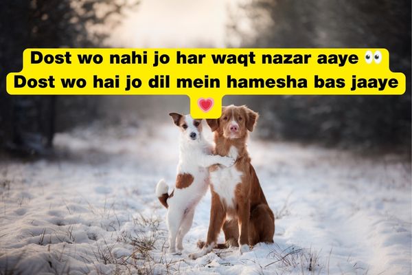 best friend shayari