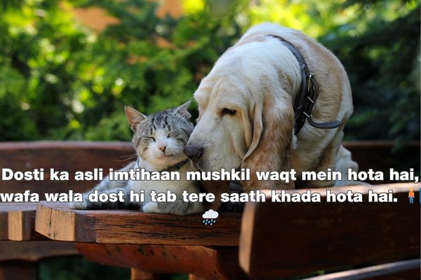 dosti par shayari in hindi