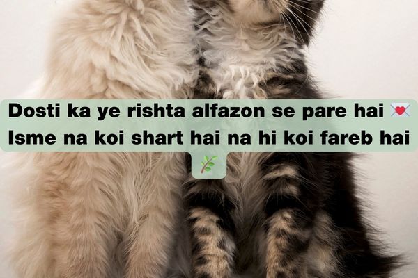 best friend shayari