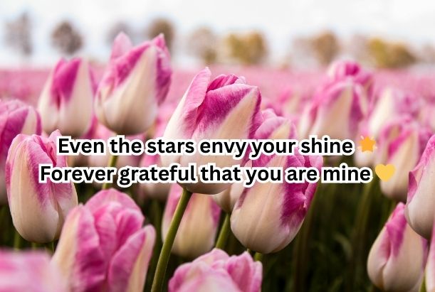 2 line love shayari in english