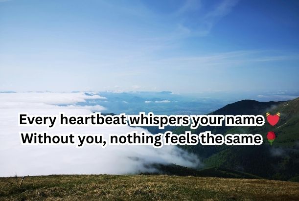 heart touching love shayari in english