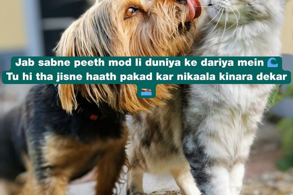 best friend shayari