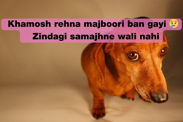 zindagi sad shayari in urdu