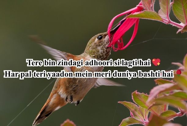 most romantic love shayari in hindi