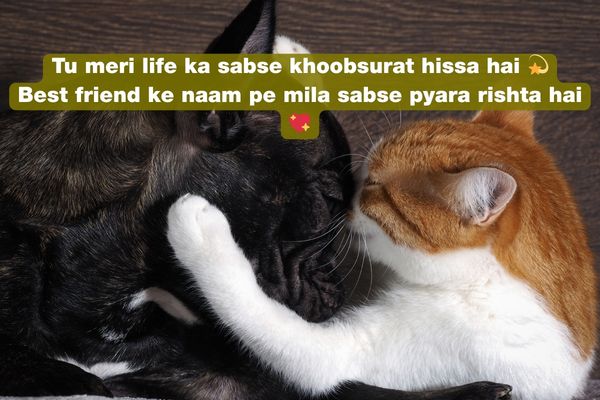 best friend shayari