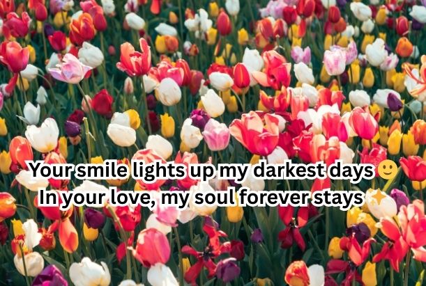 love shayari in english