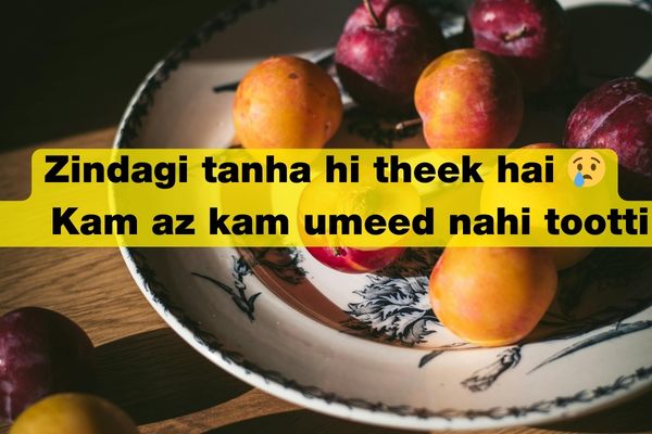 zindagi sad shayari in urdu