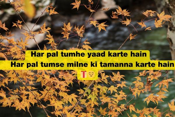 Miss you jaan shayari​