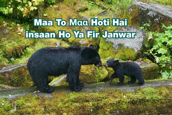 Miss you maa shayari​