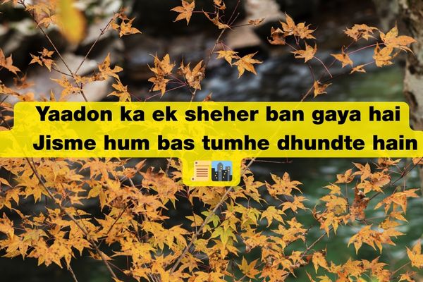 Love miss you shayari​