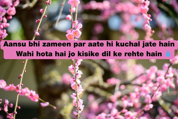 Aansu Shayari