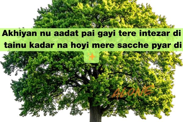 punjabi sad shayari​