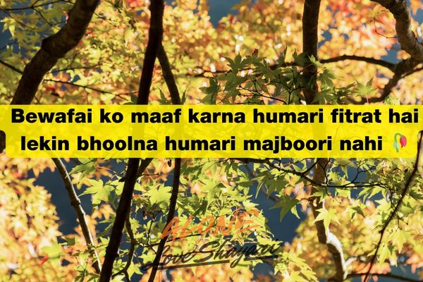 hindi shayari love sad​