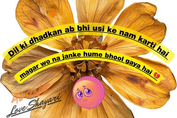 sad love shayari​