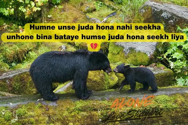 sad shayari in english​