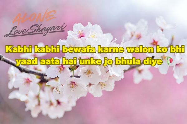 hindi shayari love sad​