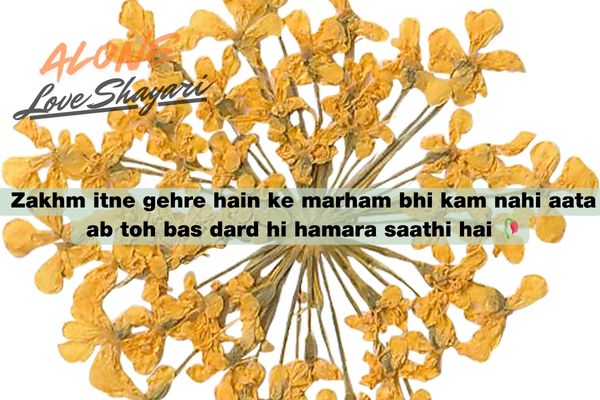 sad shayari in english​