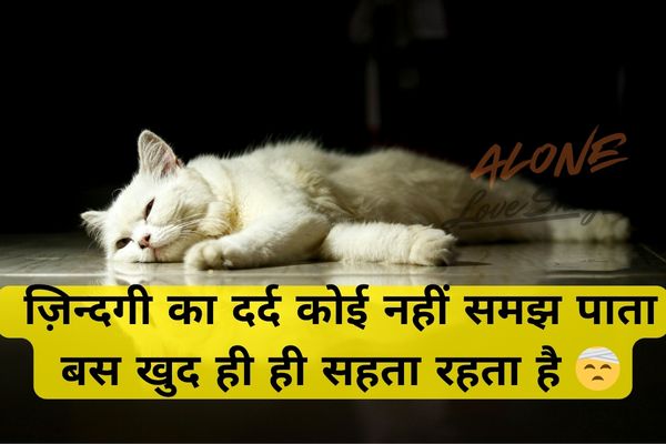 hindi shayari love sad​