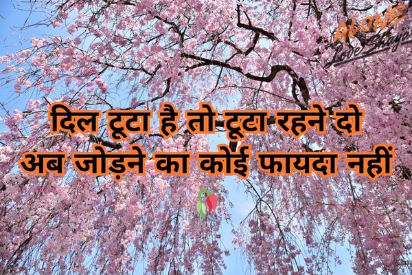 sad shayari in hindi​