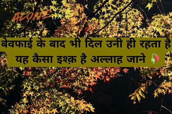 hindi shayari love sad​