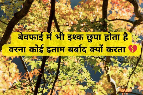 sad love shayari​