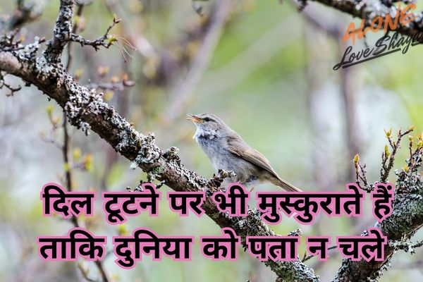 sad shayari in hindi​