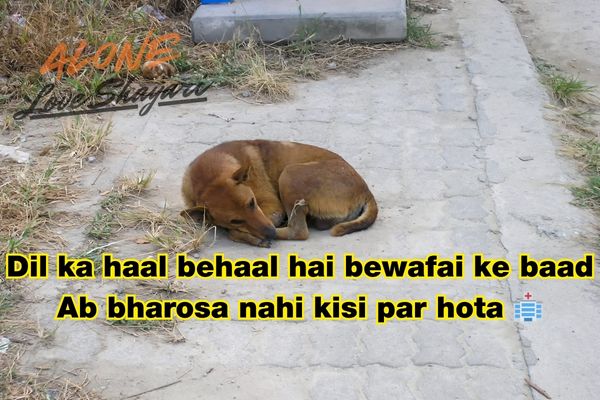 heart touching sad shayari in english​
