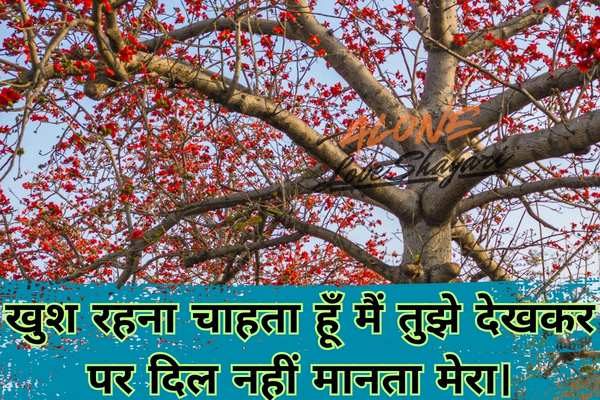 sad shayari bengali​