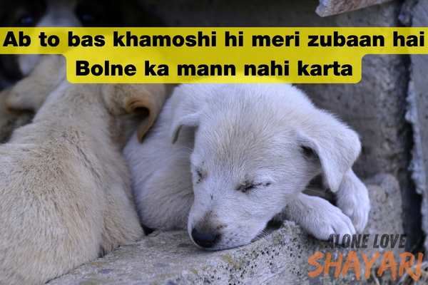 Sad Shayari Images