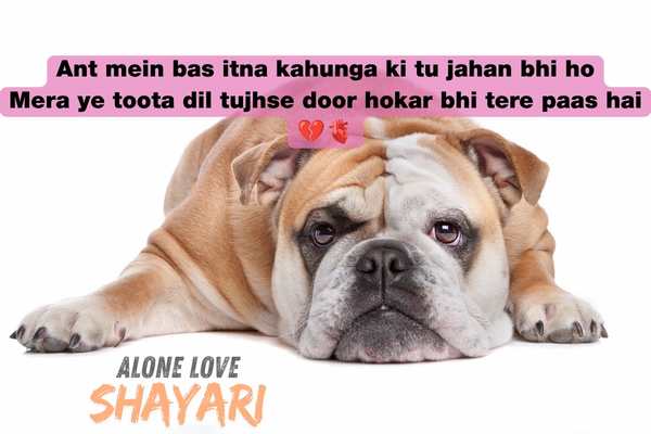 English Shayari