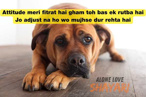 attitude shayari 2 line