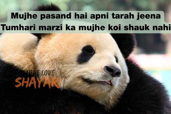 attitude sad shayari​