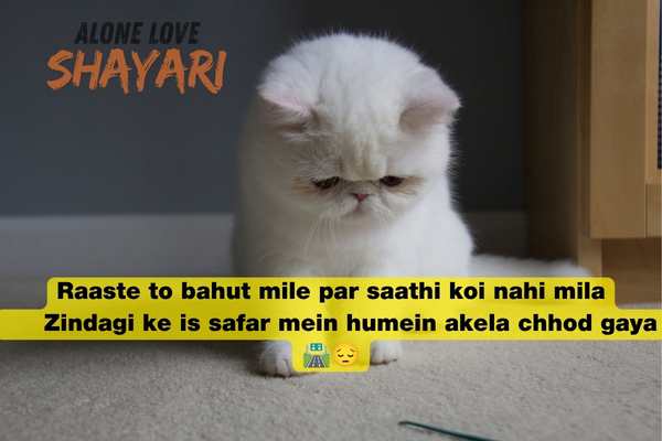 new sad shayari​