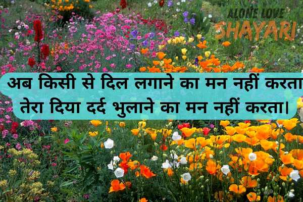sad love shayari in english​