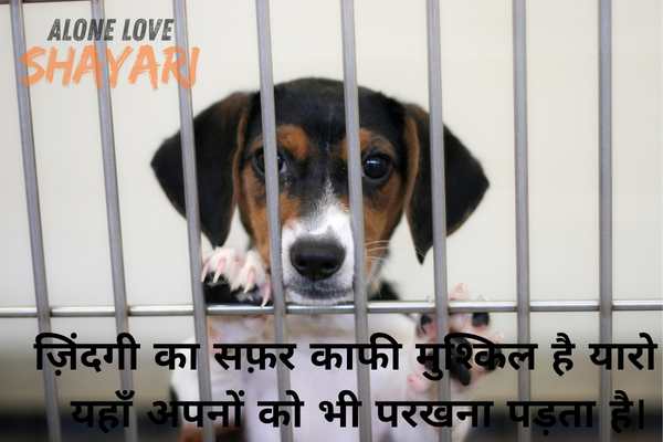 new sad shayari​