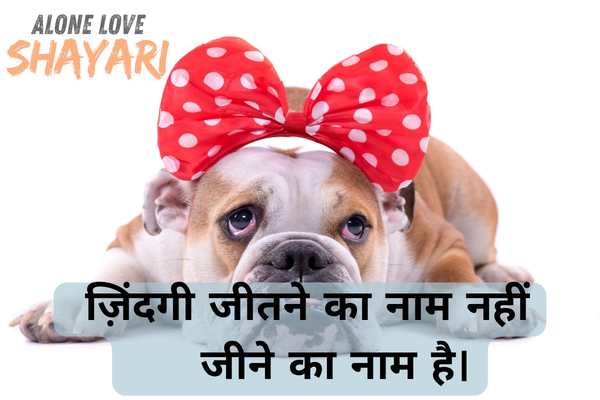 sad shayari in english for life​