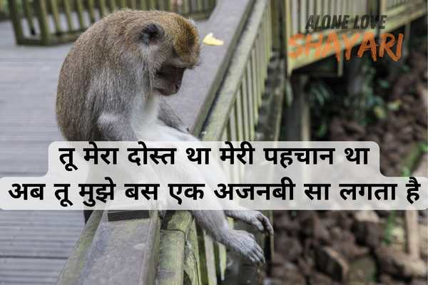 Sad Dosti Shayari
