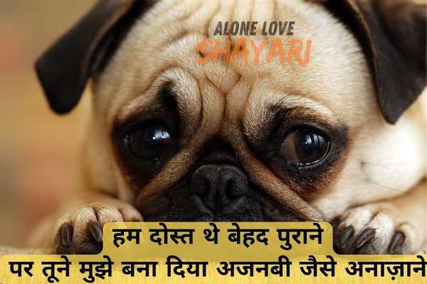 Sad Dosti Shayari
