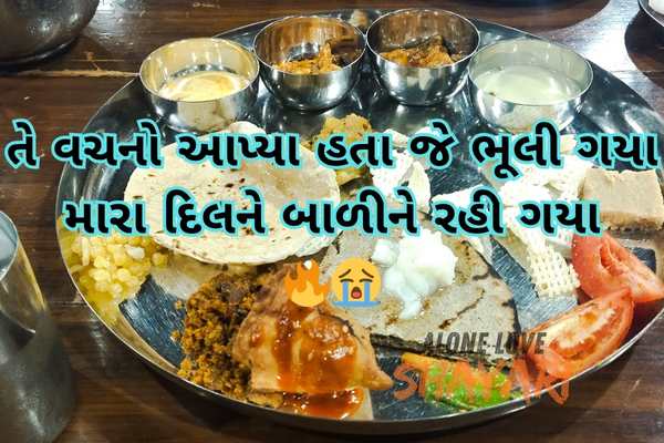 gujarati shayari sad​