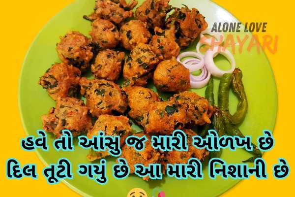 gujarati shayari sad​