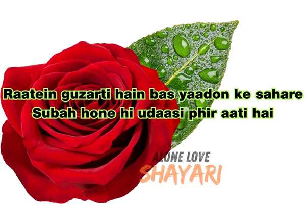 sad story shayari​