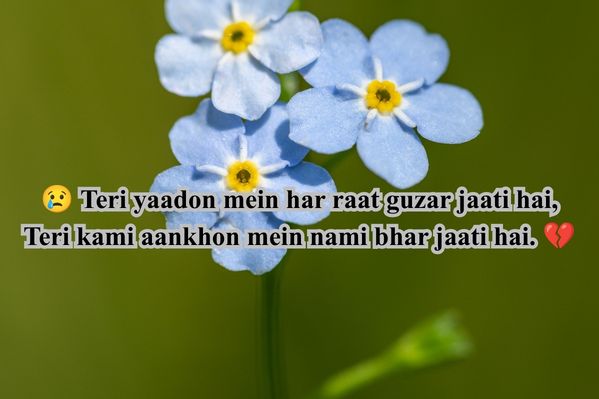 Chodne wali sad shayari