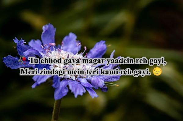 Chodne wali sad shayari